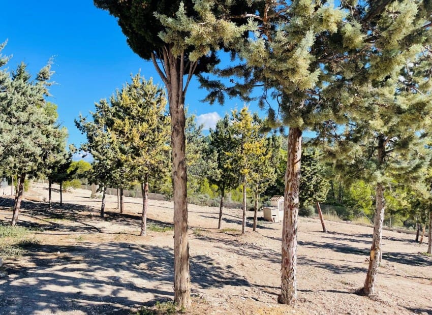 9 soveværelse Finca/Landehus til salg i Jijona / Xixona med swimmingpool garage - € 550.000 (Ref: 8825713)