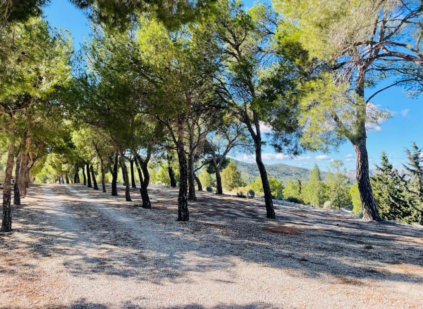 9 soveværelse Finca/Landehus til salg i Jijona / Xixona med swimmingpool garage - € 550.000 (Ref: 8825713)