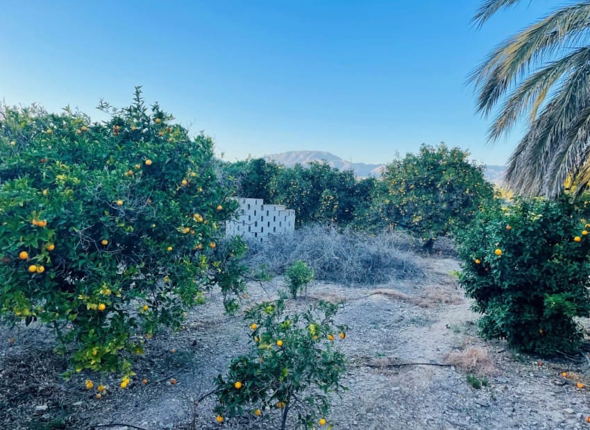 Building Plot for sale in Altea - € 390,000 (Ref: 8825718)