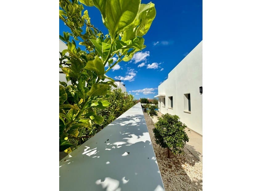 3 bedroom Villa for sale in Benijofar with pool - € 478,732 (Ref: 8825808)