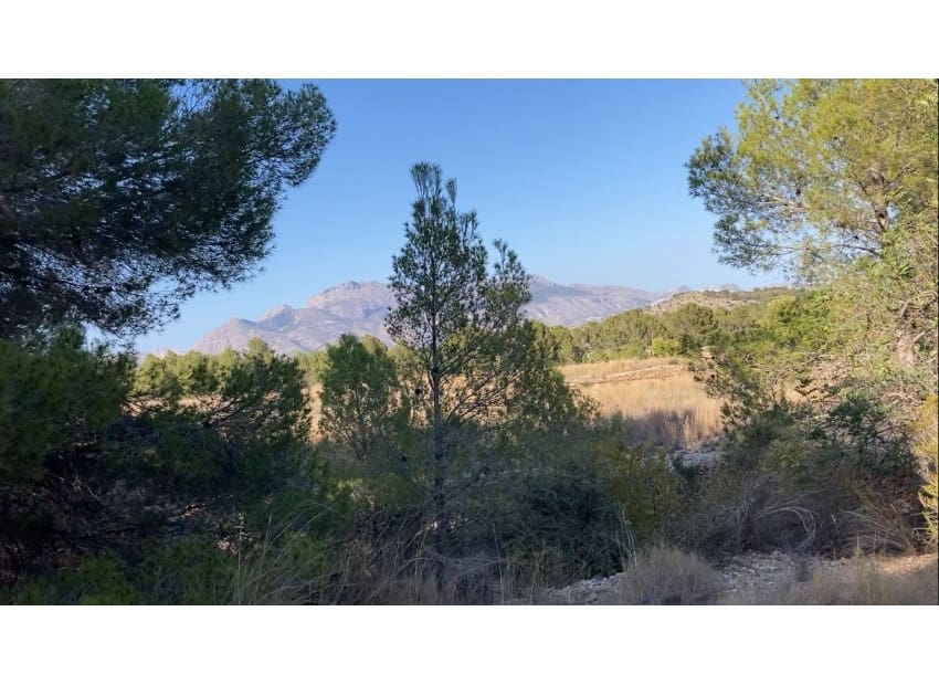 Bouwgrond te koop in Polop - € 225.000 (Ref: 8825866)