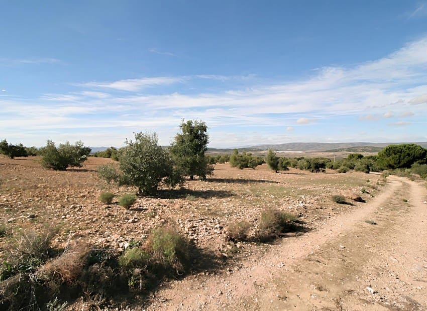 Byggetomt til salgs i Biar - € 75 000 (Ref: 8842237)