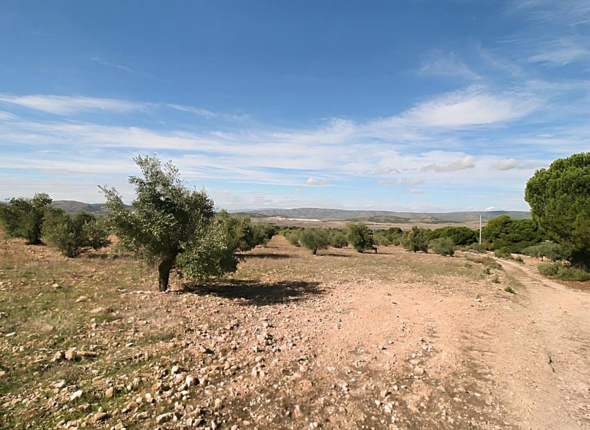 Byggetomt til salgs i Biar - € 75 000 (Ref: 8842237)