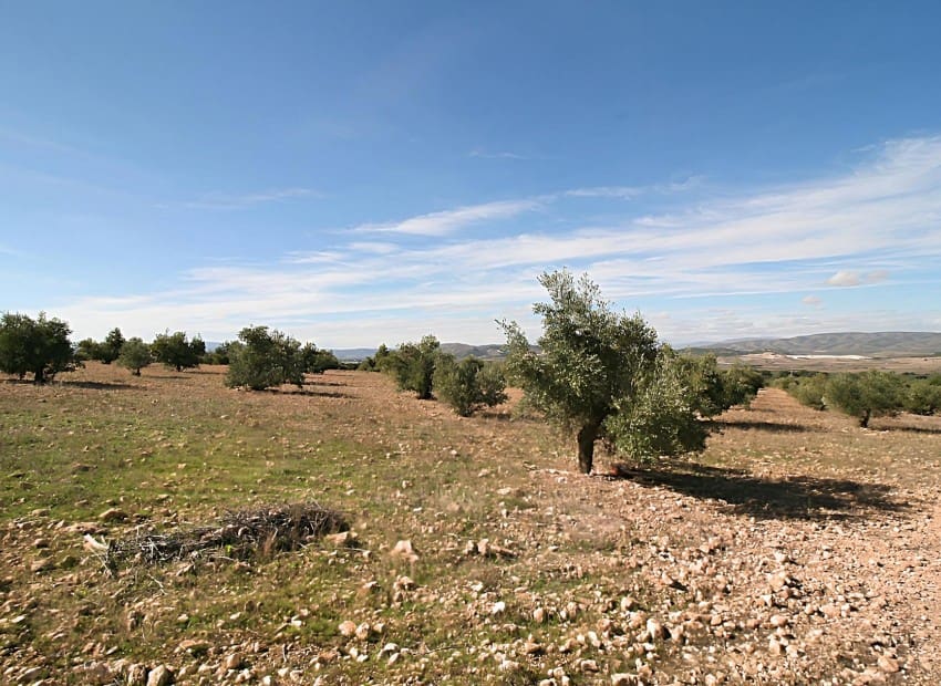 Byggetomt til salgs i Biar - € 75 000 (Ref: 8842237)