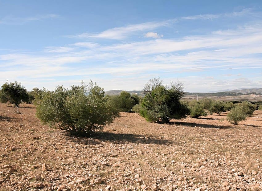 Byggetomt til salgs i Biar - € 75 000 (Ref: 8842237)