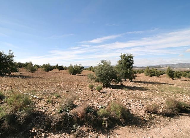 Tomt till salu i Biar - 75 000 € (Ref: 8842237)