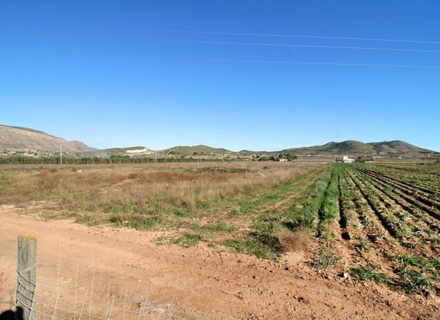 Tomt till salu i Hondón de las Nieves - 79 000 € (Ref: 8887441)