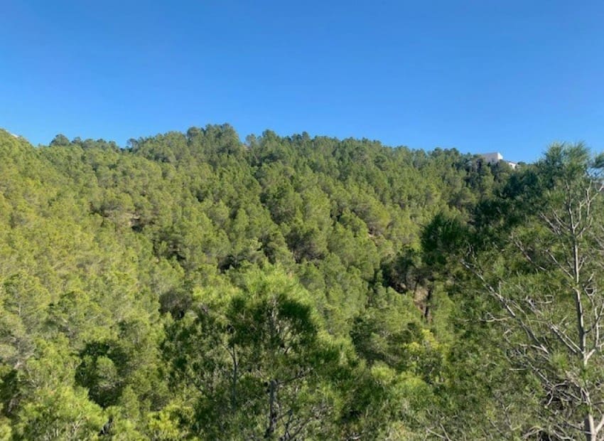 Byggetomt til salgs i Altea - € 150 000 (Ref: 8887467)