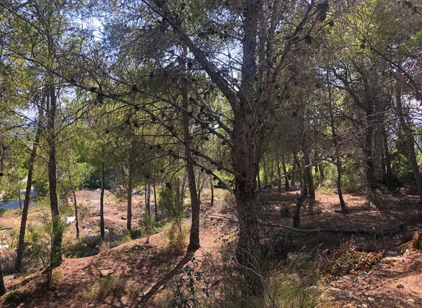 Byggegrund til salg i Altea - € 549.000 (Ref: 8887478)