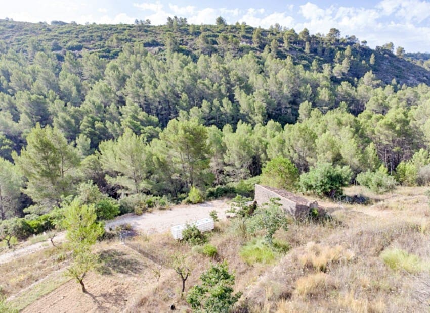 3 soveværelse Villa til salg i Jalon / Xalo med swimmingpool - € 679.000 (Ref: 8945578)