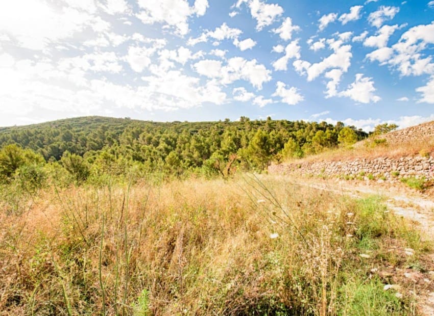 3 soveværelse Villa til salg i Jalon / Xalo med swimmingpool - € 679.000 (Ref: 8945578)