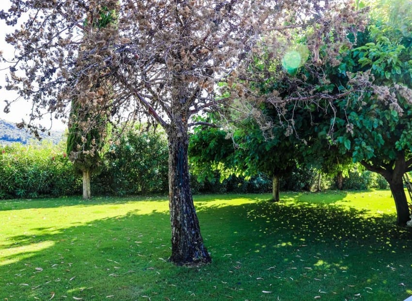 5 soveværelse Villa til salg i Jesus Pobre med swimmingpool garage - € 1.750.000 (Ref: 9050506)