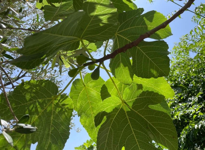 3 camera da letto Villa in vendita in Finestrat con piscina - 449.000 € (Rif: 9072238)