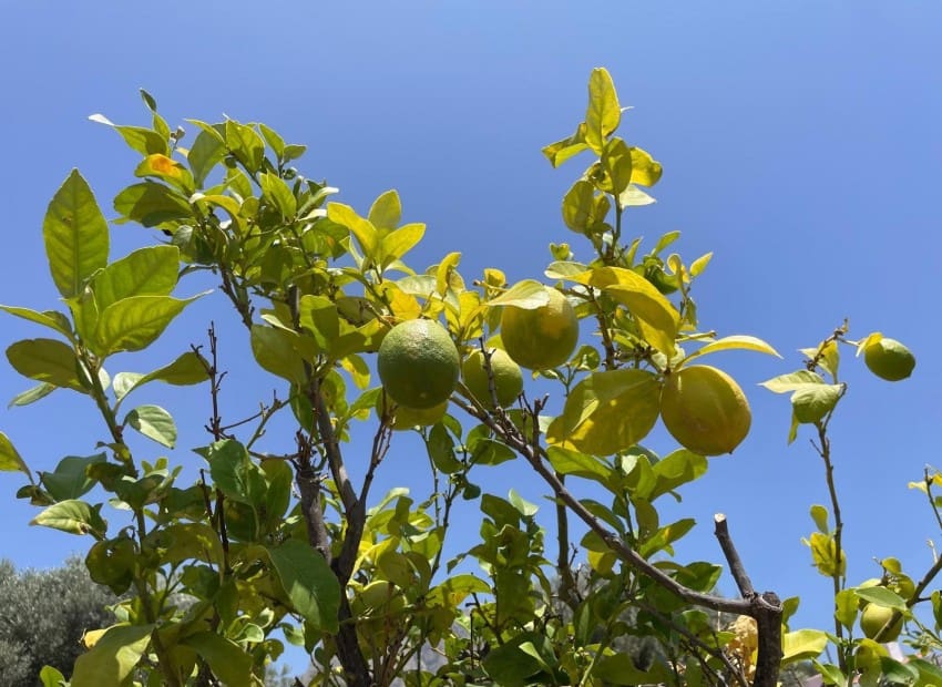 3 camera da letto Villa in vendita in Finestrat con piscina - 449.000 € (Rif: 9072238)