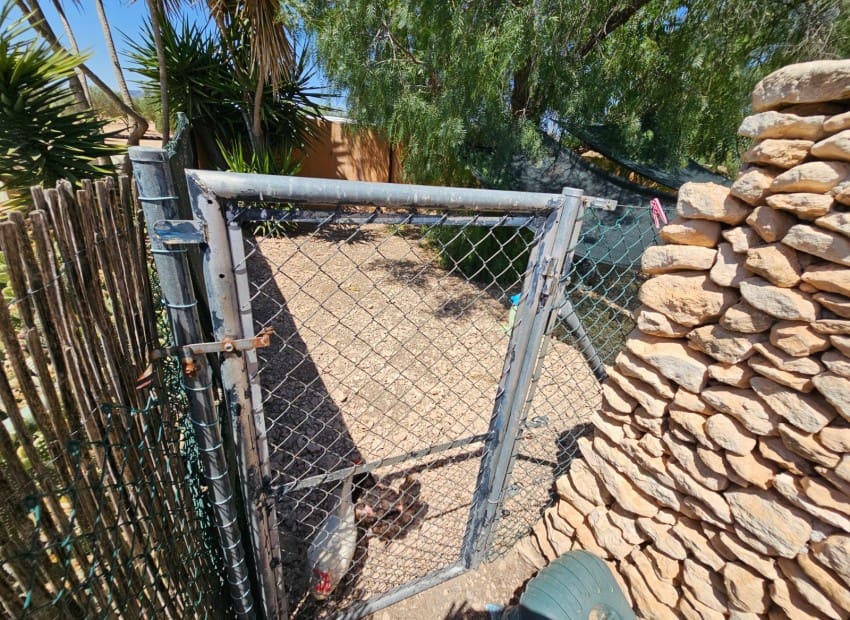 2 soveværelse Erhverv til salg i Sax med swimmingpool - € 499.995 (Ref: 9094685)