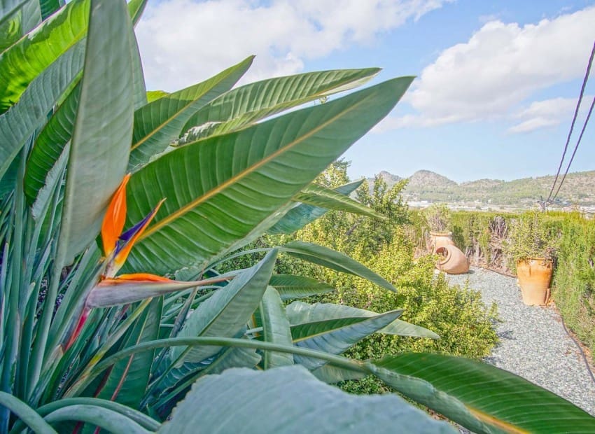 4 soveværelse Villa til salg i Pedreguer med swimmingpool - € 680.000 (Ref: 9123692)