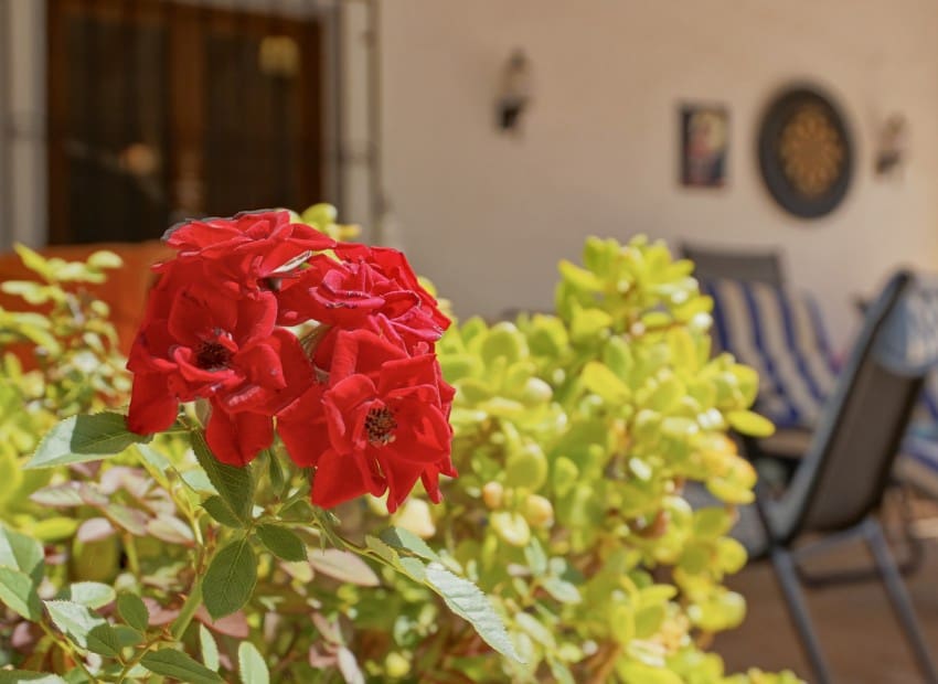 4 sypialnia Willa na sprzedaż w Javea / Xabia z basenem - 749 000 € (Ref: 9136155)