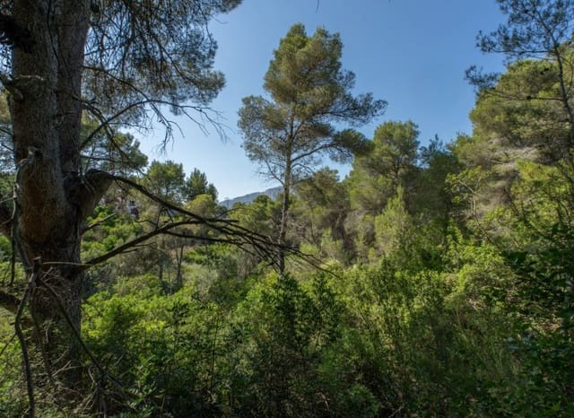 Terreno Não Urbanizado para venda em Javea / Xàbia - 150 000 € (Ref: 9146717)