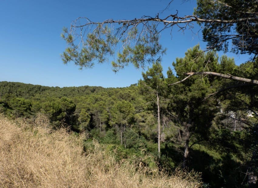 Terreno Não Urbanizado para venda em Javea / Xabia - 150 000 € (Ref: 9146717)