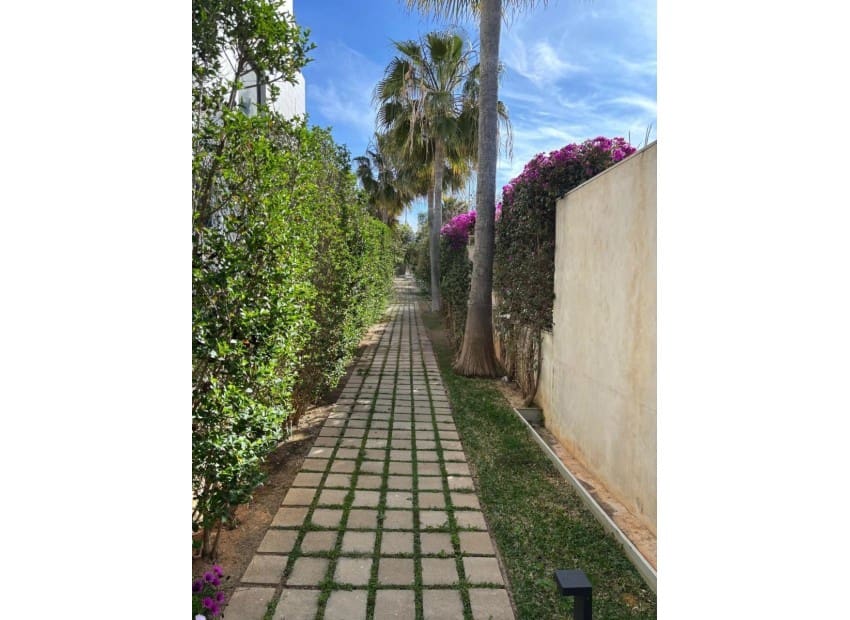 3 soveværelse Lejlighed til salg i Arenal med swimmingpool - € 499.500 (Ref: 9181916)