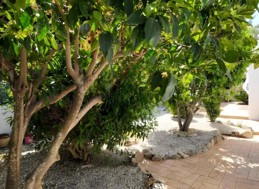 4 quarto Moradia para venda em Javea / Xabia com piscina - 686 000 € (Ref: 9203509)