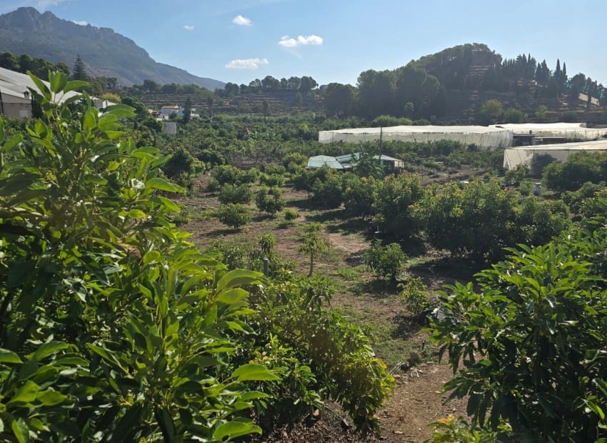 3 soverom Villa til salgs i Altea la Vella med svømmebasseng - € 495 000 (Ref: 9219251)