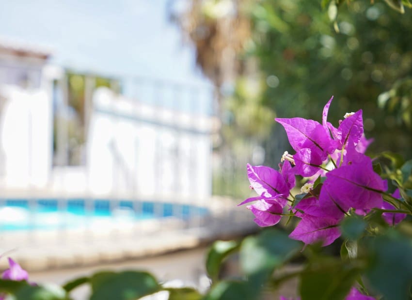 3 chambre Villa/Maison à vendre à Javea / Xabia avec piscine - 620 000 € (Ref: 9231266)