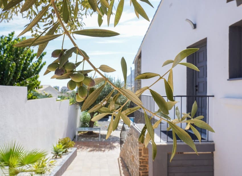 5 Zimmer Villa zu verkaufen in Calpe / Calp mit Pool - 749.000 € (Ref: 9231541)