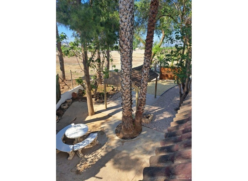 5 bedroom Finca/Country House for sale in Orihuela with pool - € 370,000 (Ref: 9241151)