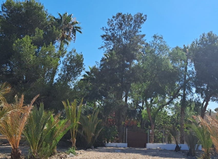 5 bedroom Finca/Country House for sale in Orihuela with pool - € 370,000 (Ref: 9241151)