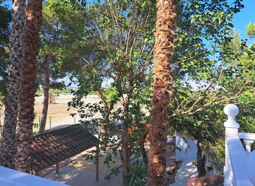 5 bedroom Finca/Country House for sale in Orihuela with pool - € 370,000 (Ref: 9241151)