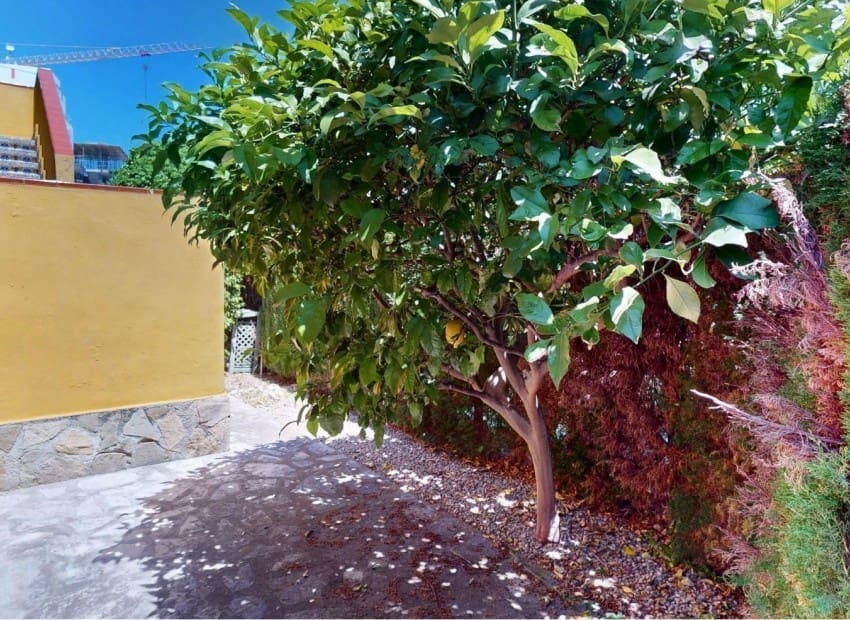 3 bedroom Villa for sale in Oliva Nova with pool garage - € 385,000 (Ref: 9271715)