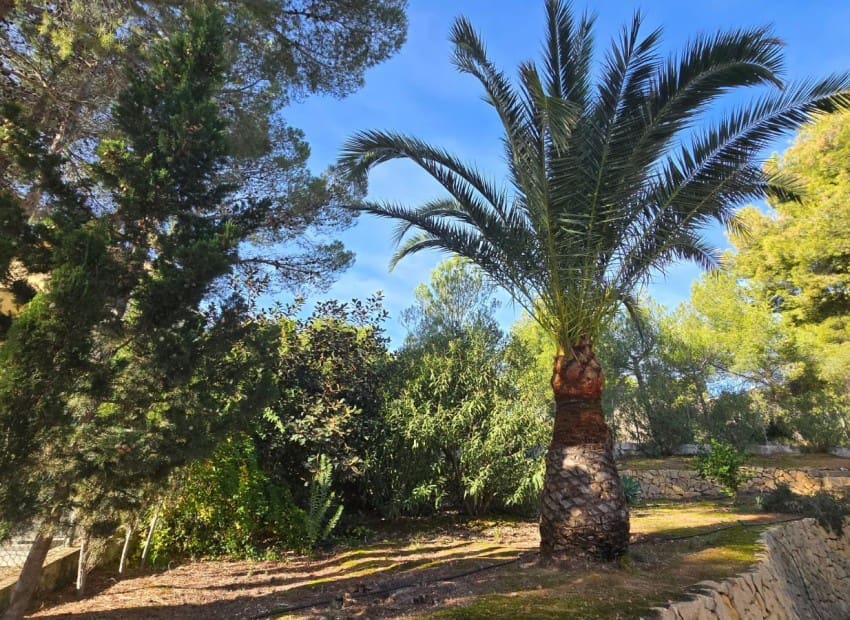 3 quarto Moradia para venda em Altea com piscina - 499 000 € (Ref: 9282421)