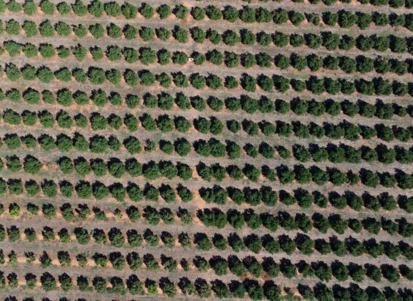 Huvila myytävänä paikassa Denia - 680 000 € (Ref: 9309343)