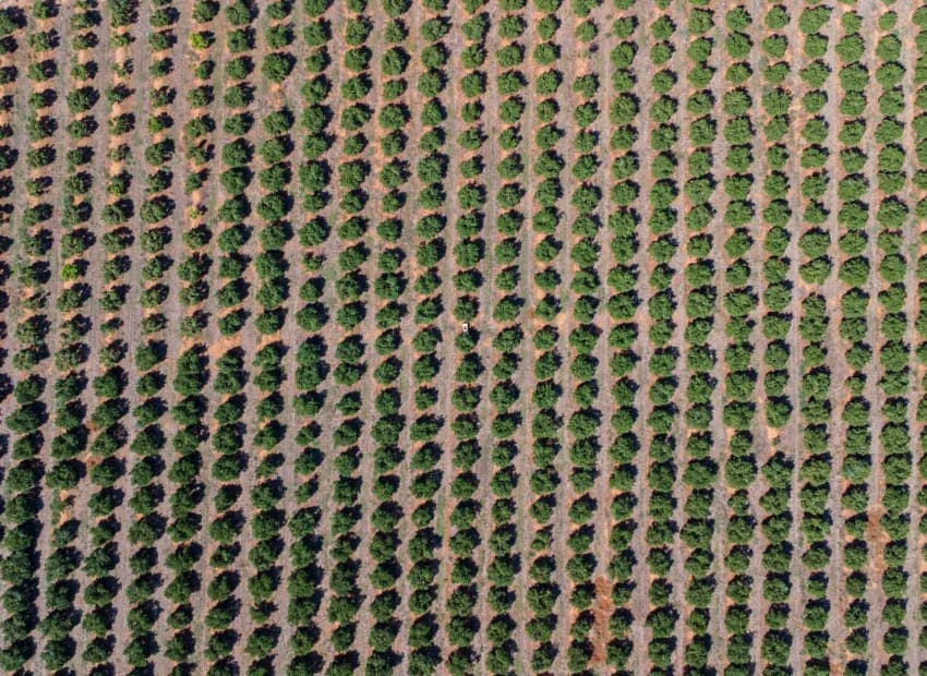 Huvila myytävänä paikassa Denia - 680 000 € (Ref: 9309343)