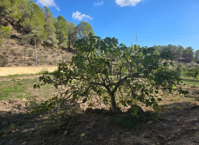 Bouwgrond te koop in Altea la Vella, Altea - € 89.000 (Ref: 9369073)