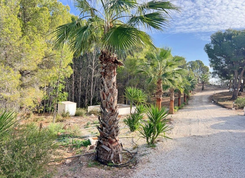 5 sovrum Villa till salu i Altea med pool - 2 500 000 € (Ref: 9454795)