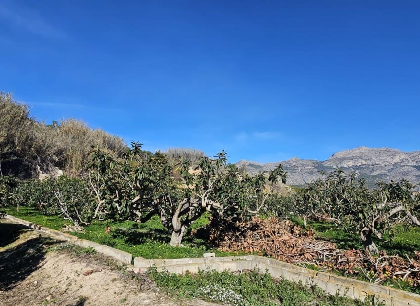 1 soveværelse Finca/Landehus til salg i Callosa d'En Sarria med garage - € 270.000 (Ref: 9565849)