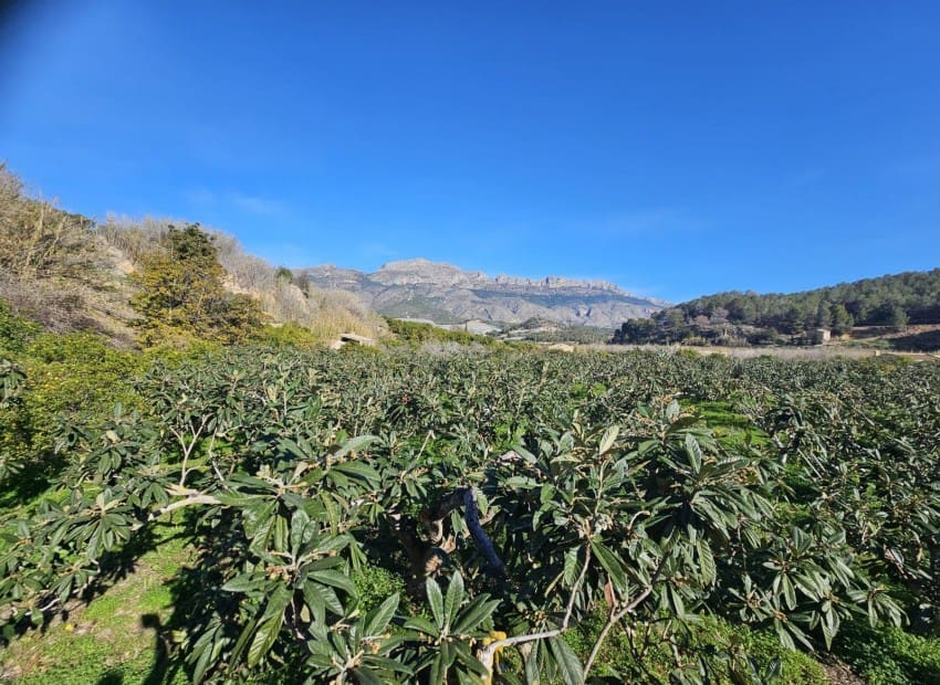 1 soveværelse Finca/Landehus til salg i Callosa d'En Sarria med garage - € 270.000 (Ref: 9565849)