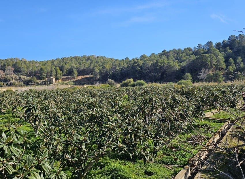 1 soveværelse Finca/Landehus til salg i Callosa d'En Sarria med garage - € 270.000 (Ref: 9565849)