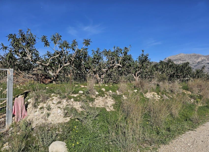 1 soveværelse Finca/Landehus til salg i Callosa d'En Sarria med garage - € 270.000 (Ref: 9565849)