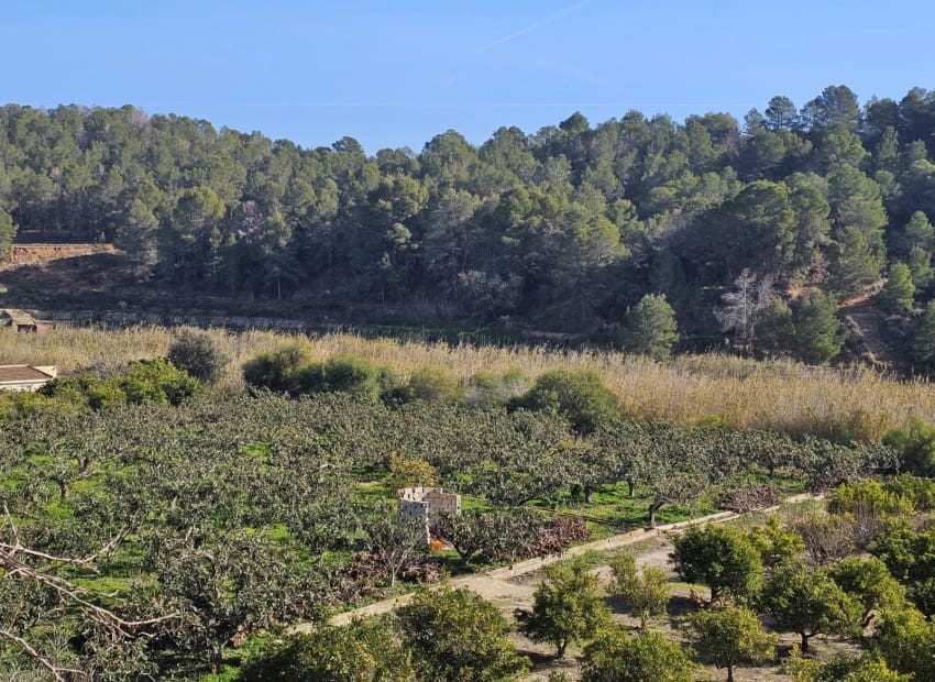 1 soveværelse Finca/Landehus til salg i Callosa d'En Sarria med garage - € 270.000 (Ref: 9565849)