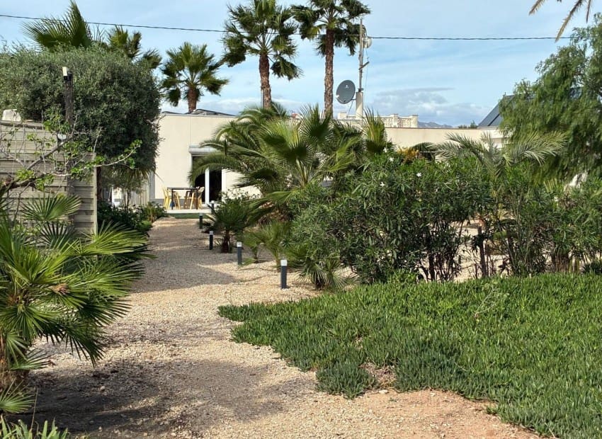 5 sovrum Villa till salu i Crevillente / Crevillent med pool - 465 000 € (Ref: 9898361)