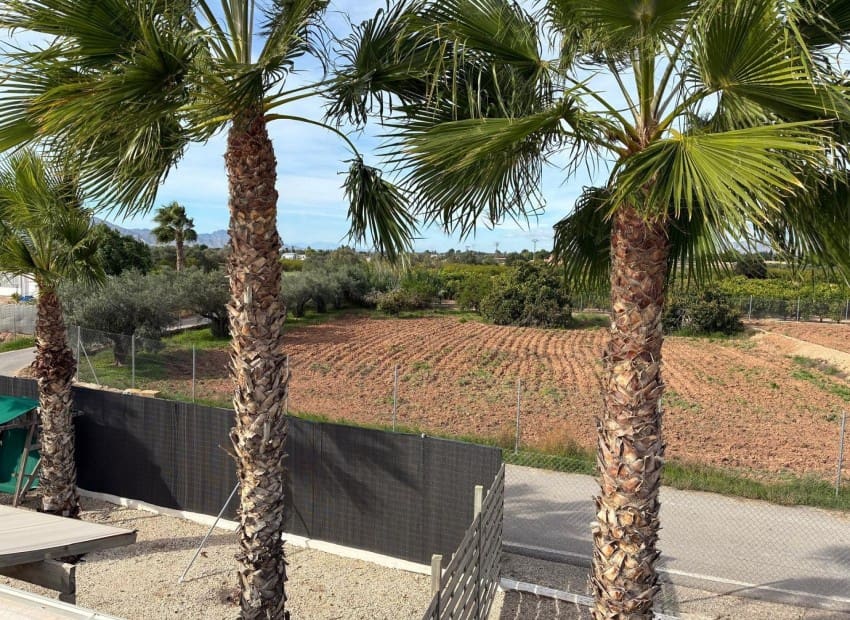 5 sovrum Villa till salu i Crevillente / Crevillent med pool - 465 000 € (Ref: 9898361)