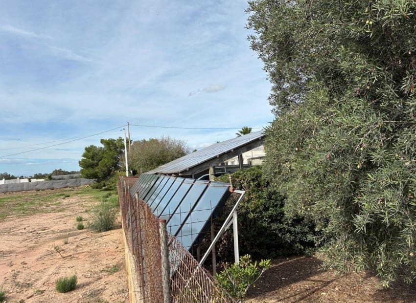 5 soveværelse Villa til salg i Crevillente / Crevillent med swimmingpool garage - € 465.000 (Ref: 9898361)