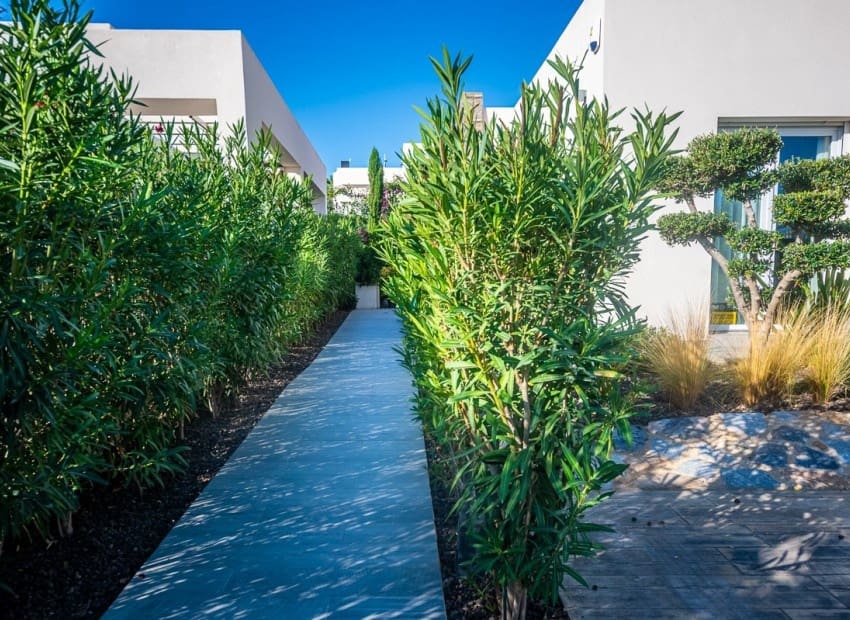 2 quarto Moradia para venda em Algorfa com piscina garagem - 610 000 € (Ref: 9954591)