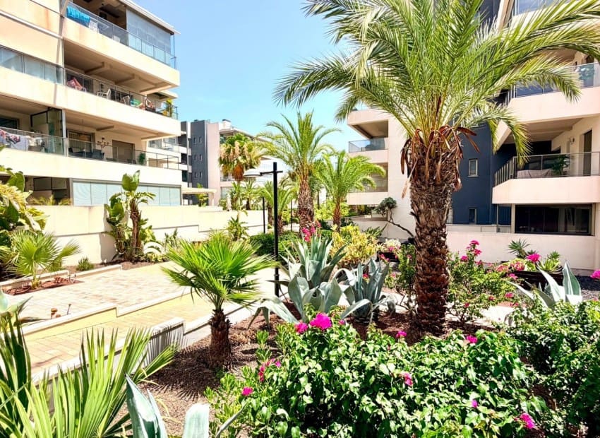 2 soveværelse Lejlighed til salg i La Zenia med swimmingpool garage - € 269.900 (Ref: 9979292)
