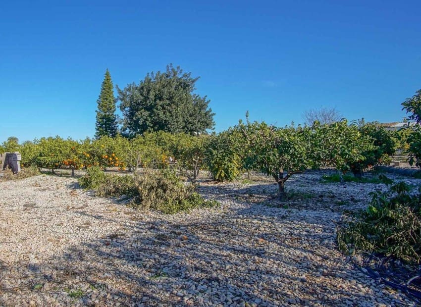 3 sovrum Villa till salu i El Vergel / Verger med garage - 399 950 € (Ref: 9981329)
