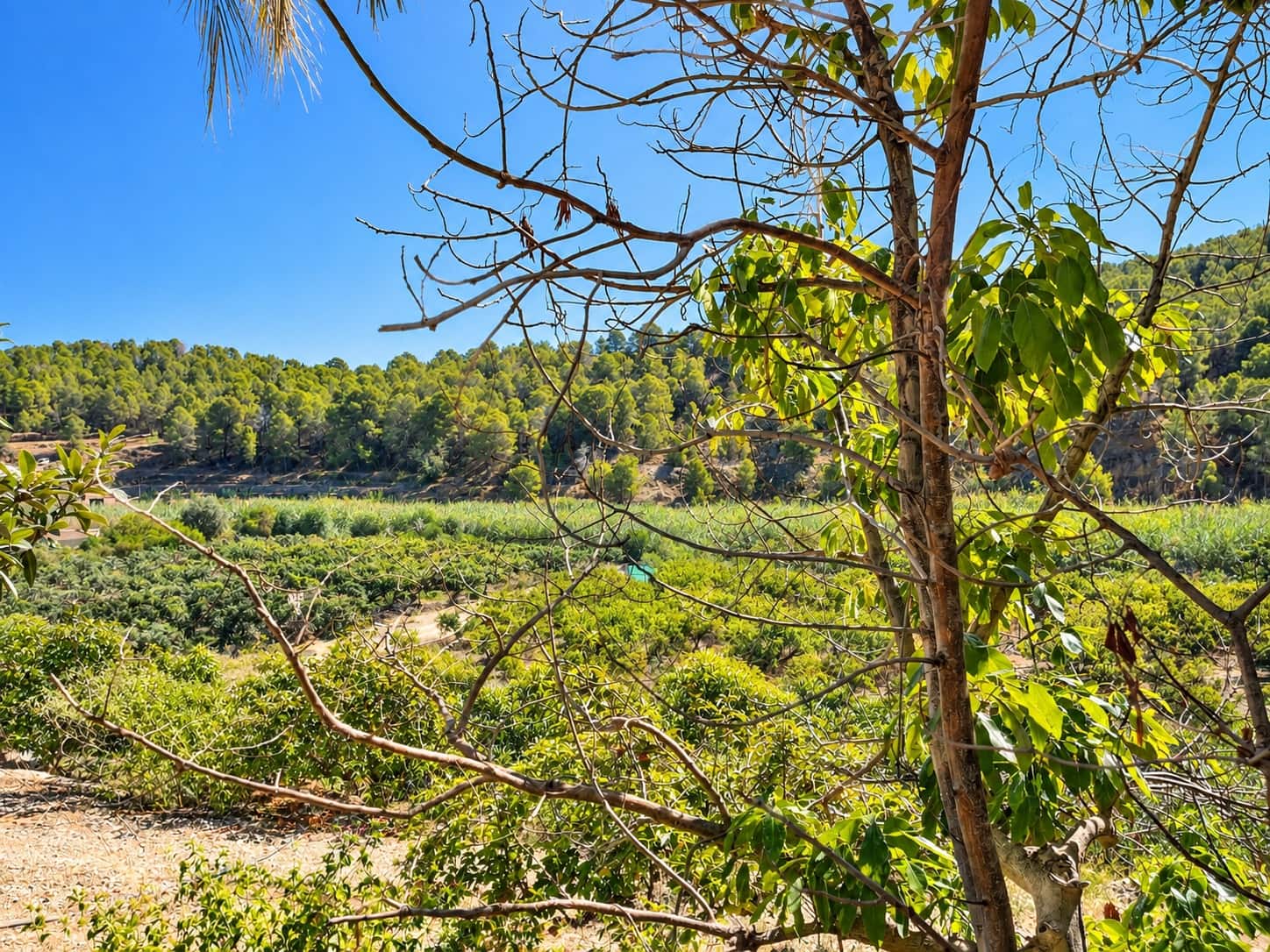 2 soveværelse Finca/Landehus til salg i Altea med garage - € 270.000 (Ref: 10153749)