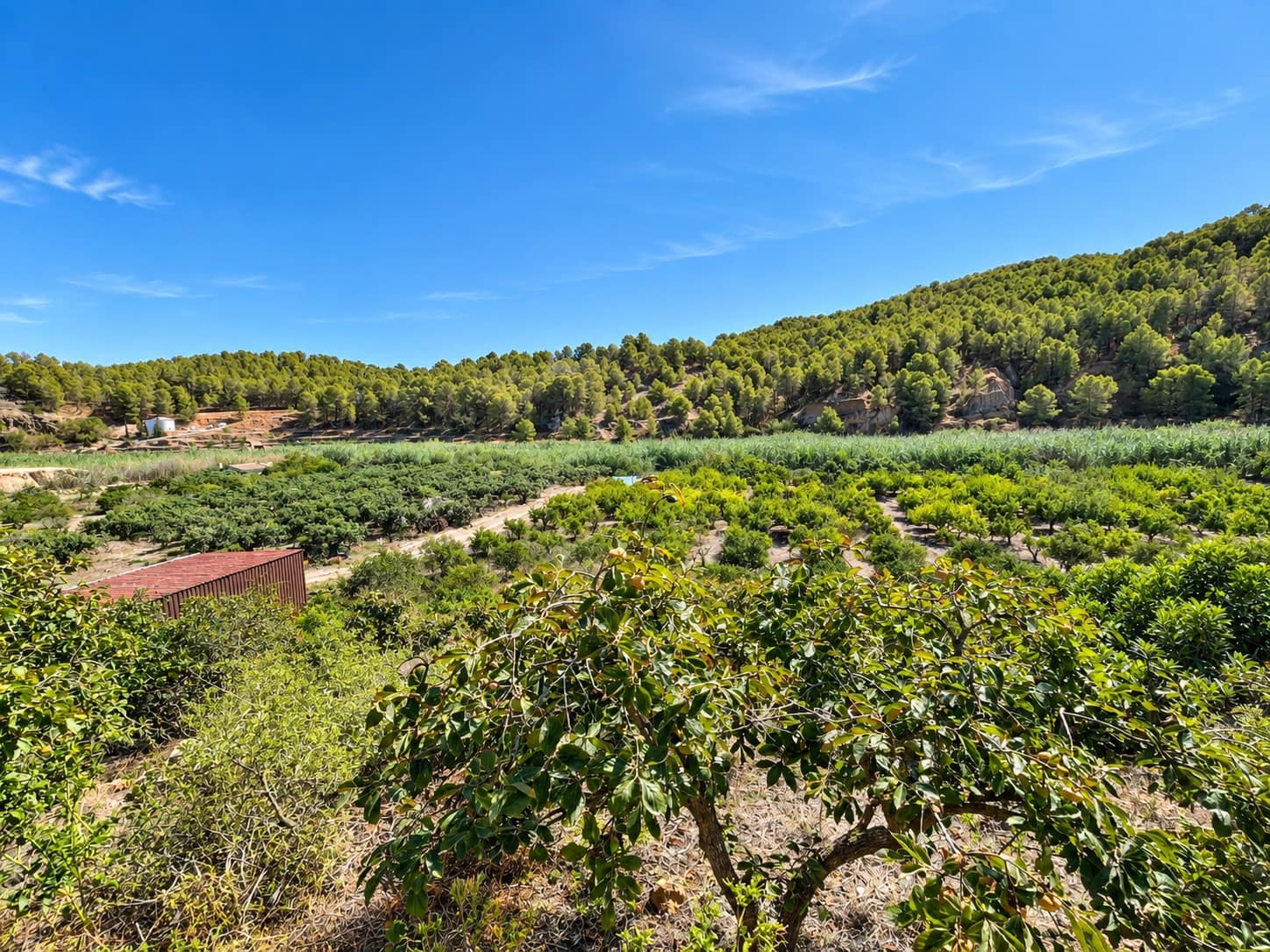 2 soveværelse Finca/Landehus til salg i Altea med garage - € 270.000 (Ref: 10153749)
